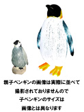 ペンギン親子セット