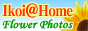 �e�����g�������Ԃ̎ʐ^��