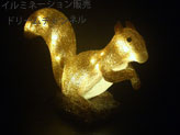 リス 02(大)