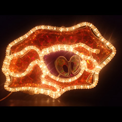 白熱電球 雲のような蜘蛛(ホログラム)