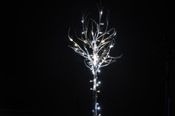 Rayer light カマイユホワイト
