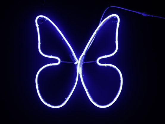 `E` u[